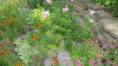 an area with many different flowers and plants growing on the side of a rock wall