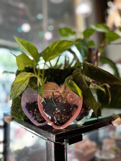 two plants in heart shaped vases sitting on top of a glass table with rocks and gravel