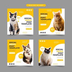 four social post templates with cats on yellow and white background, one is for the cat