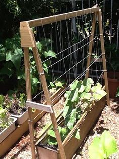 an outdoor garden filled with lots of plants