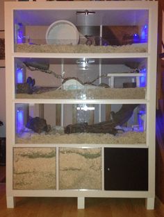 an aquarium is shown in the middle of a shelf filled with sand and gravel, along with other items