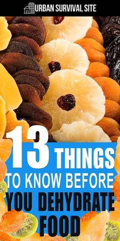 the cover of 13 things to know before you dehydraate food for survival