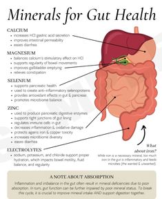 Hormone Nutrition, Better Gut Health, Gut Health Recipes, Food Health Benefits, Automated Trading, Herbs For Health