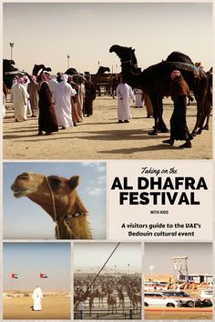 an advertisement for the al dhafra festival with pictures of camels and people