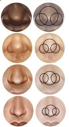 six different types of nose shapes and their corresponding parts are shown in the image below