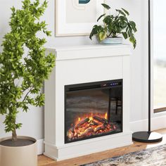 a living room with a fire place and potted plant on the side of the fireplace