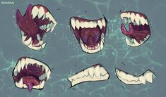 an animal's mouth and teeth are shown in various stages of being opened up