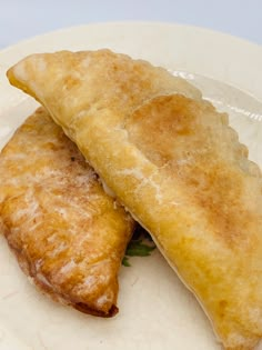 two fried food items on a white plate