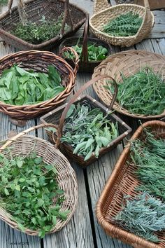 baskets filled with fresh herbs sitting on top of a wooden table