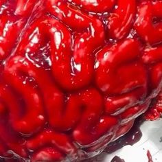 a large red object that looks like a human brain