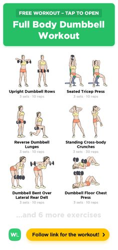 the full body dumbbell workout poster