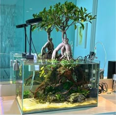 an aquarium filled with plants and rocks on top of a table