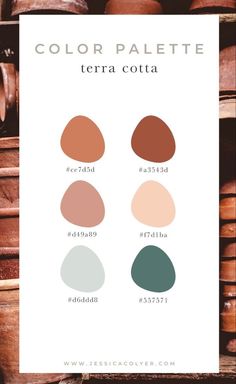 the color palette for terra cota