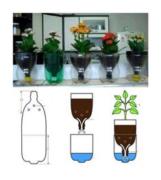 there are four different types of plants in vases on the counter and below them