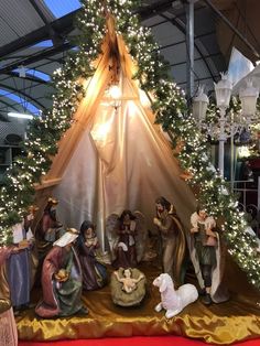 a nativity scene is displayed in front of a christmas tree with lights on it