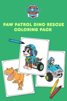 paw patrol dino rescue coloring pack with markers and crayons on the back ground