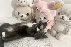 a black and white cat laying on top of a bed next to stuffed animals,