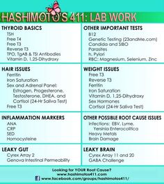 Hashimotos Disease Diet, Thyroid Remedies, Thyroid Healing, Lab Work, Thyroid Symptoms, Hashimotos Disease, Graves Disease, Thyroid Issues, Thyroid Health