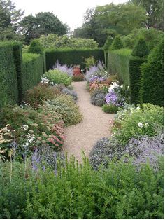 a garden filled with lots of different types of flowers