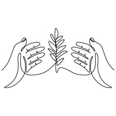 two hands holding a plant with leaves in the middle and one hand on top of each other