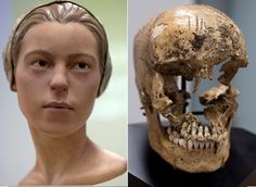 two different views of a human skull and a model of a man's head