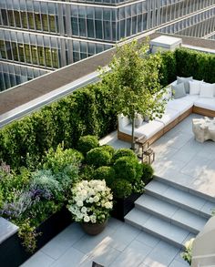 an aerial view of a patio with seating and trees in the center, surrounded by greenery