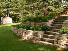 an outdoor garden with steps leading up to the trees and grass in front of it