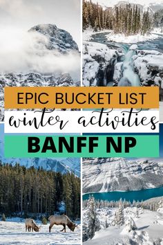 the best things to do this winter in banffnp