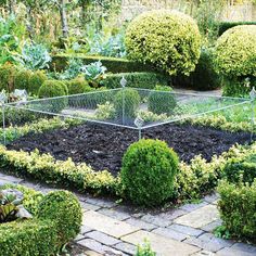 a garden filled with lots of different types of plants and shrubs next to each other