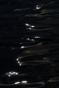 the water is very dark and there are lights on it's surface at night