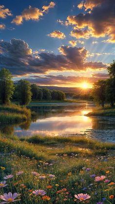 the sun is setting over a lake surrounded by wildflowers