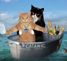 two cats are sitting in a boat on the water and one cat is holding an ornament