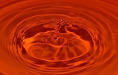 an orange water droplet is seen in this image