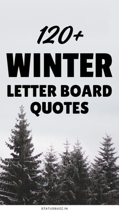 the words winter letter board quotes are in black and white, with pine trees behind it