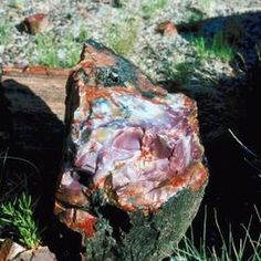 a large rock sitting on top of a dirt ground next to green grass and bushes