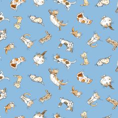 a blue background with cats and dogs in different positions on the same surface, including one laying down