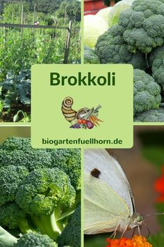 broccoli, carrots and other vegetables are shown in this collage with the words brooki