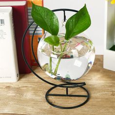 a glass vase with a plant in it on a stand next to books and a book