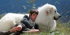 a young boy laying on the ground next to a large white dog