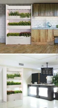 three different views of a kitchen with plants growing on the wall and in the floor