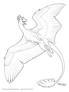 a drawing of a bird flying with its wings spread