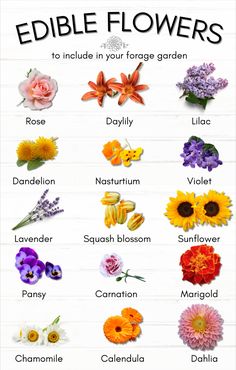 an image of flowers with the names in english and spanish on it's side