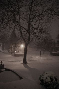 a street light in the snow at night