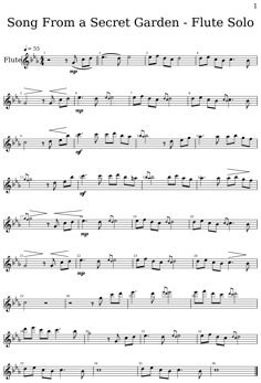 sheet music with the words song from a secret garden - flute solo