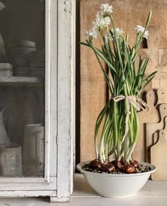 a potted plant sitting on top of a table next to a glass case filled with dishes