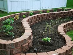 a brick garden bed in the middle of a yard with plants growing out of it