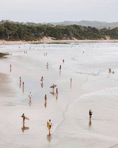 many people are walking on the beach with surfboards