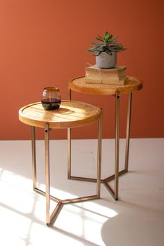 two tables with plants on them in front of an orange wall, one has a vase and the other is a book