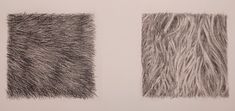 two different types of fur are shown in black and white, one is gray the other is brown