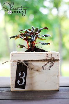 a small wooden box with a plant in it